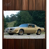 Металлическая табличка Pontiac Firebird Trans Am Y-88 Gold Special Edition